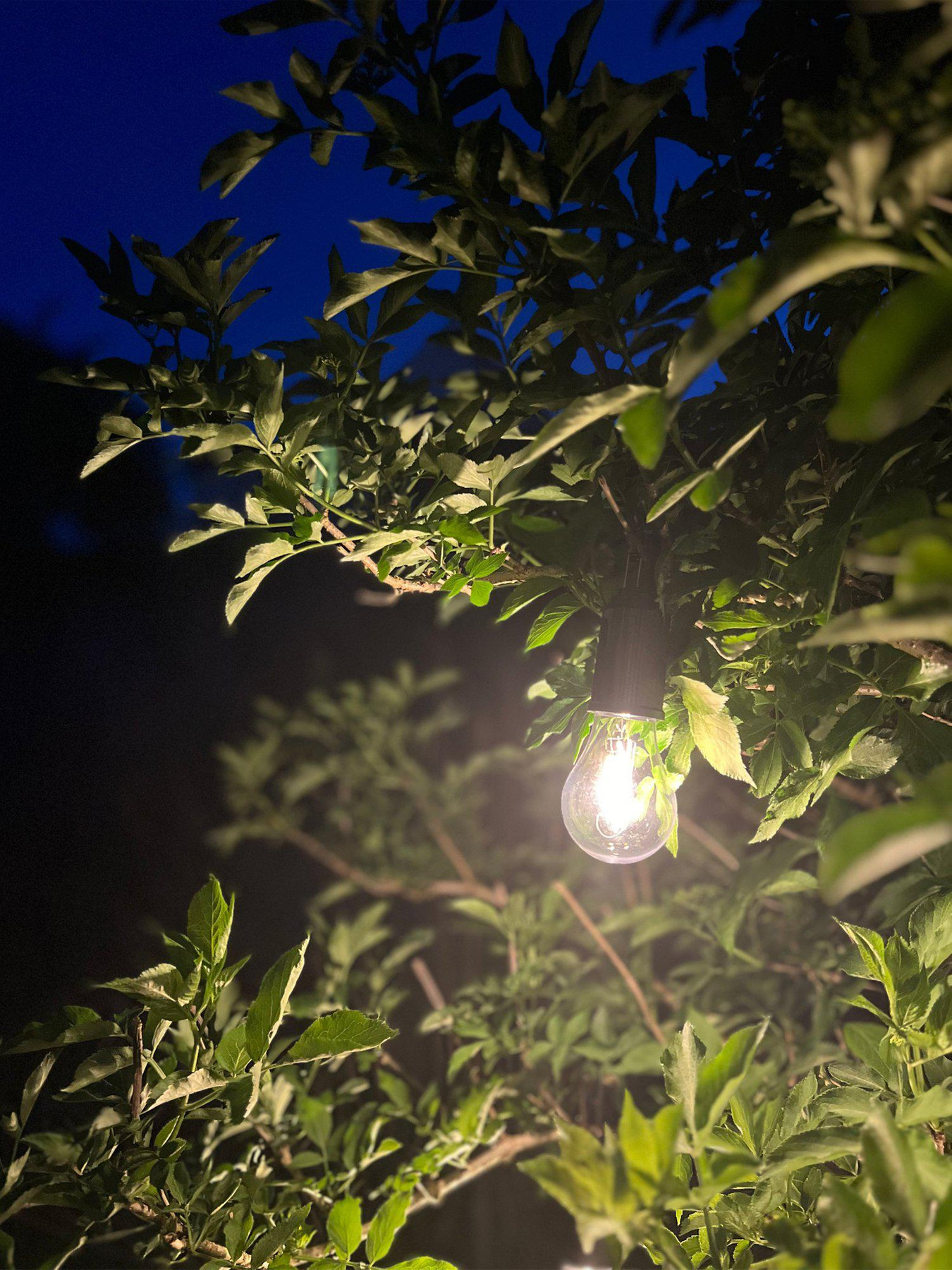 Rechargeable Light Source Black