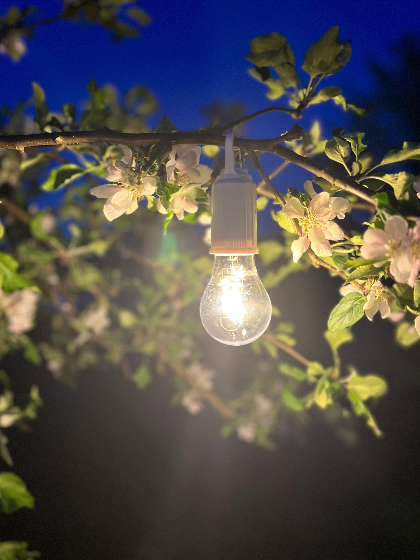 Rechargeable Light Source White
